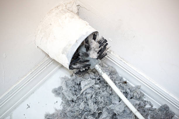 Best HVAC Air Duct Cleaning  in Monroe, LA